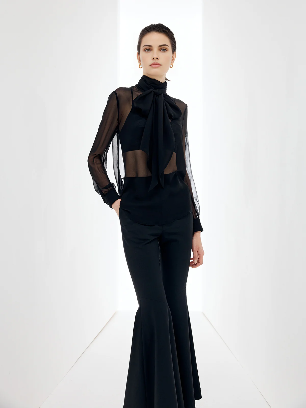 Sheer Bow Chiffon Blouse - Takermore