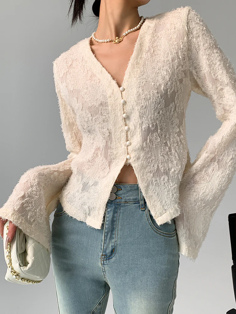 Semi-Sheer V-Neck Ruffle Long Sleeve Blouse - Takermore