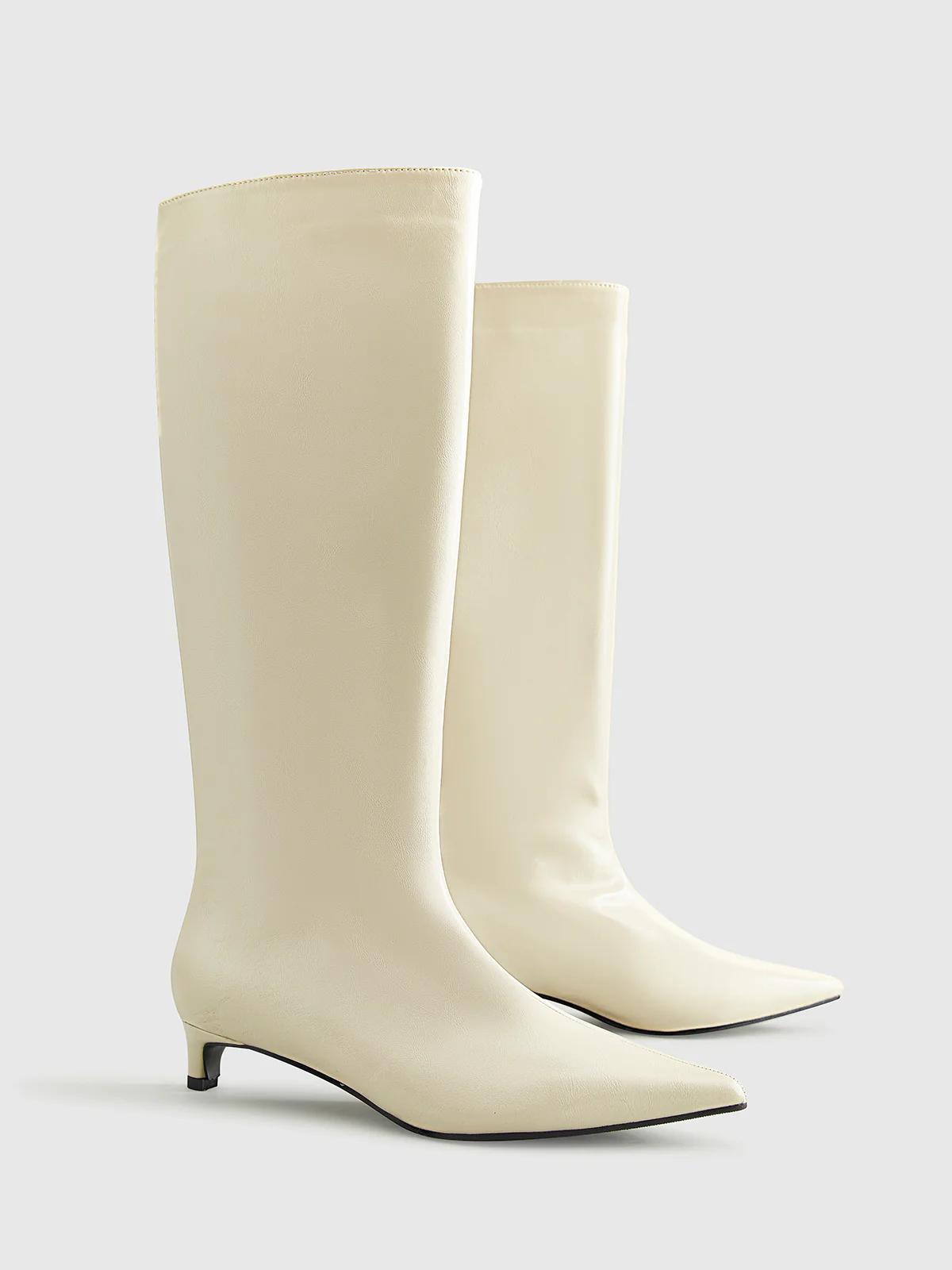 Pointed Toe Kitten Knee High Boots - Takermore