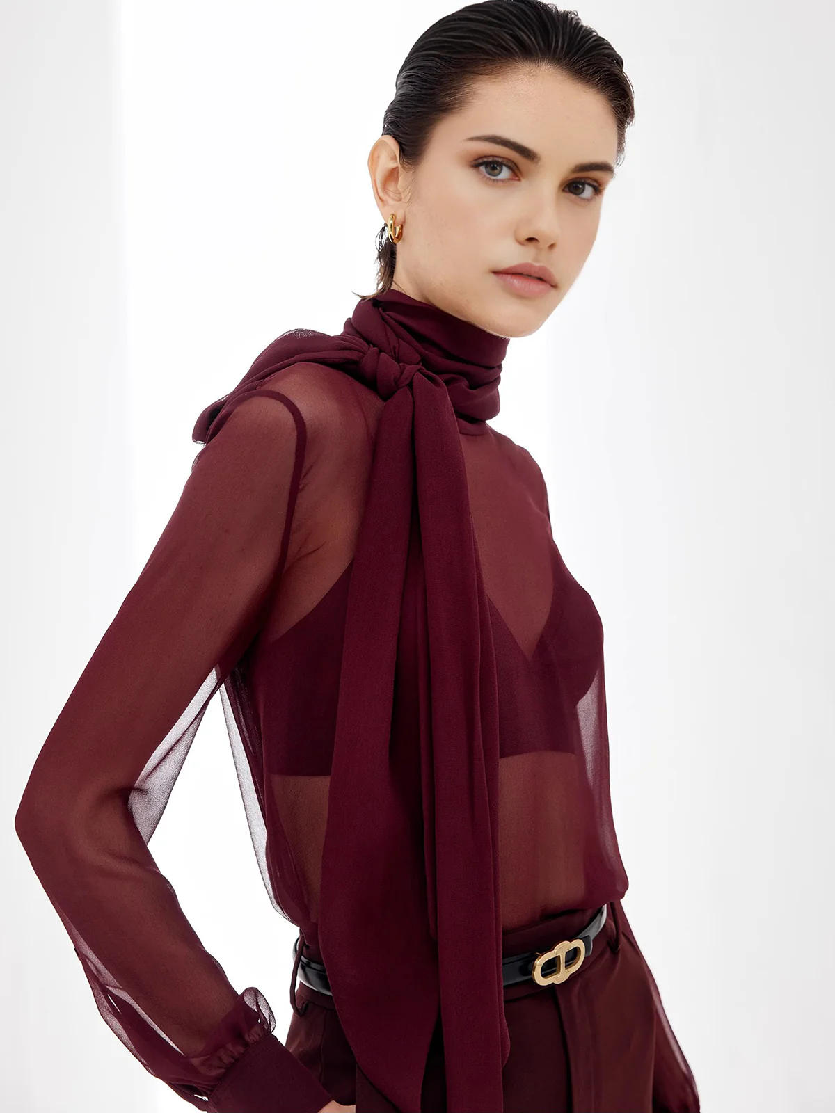 Sheer Bow Chiffon Blouse - Takermore