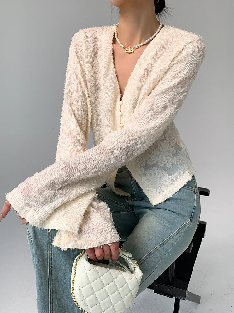Semi-Sheer V-Neck Ruffle Long Sleeve Blouse - Takermore